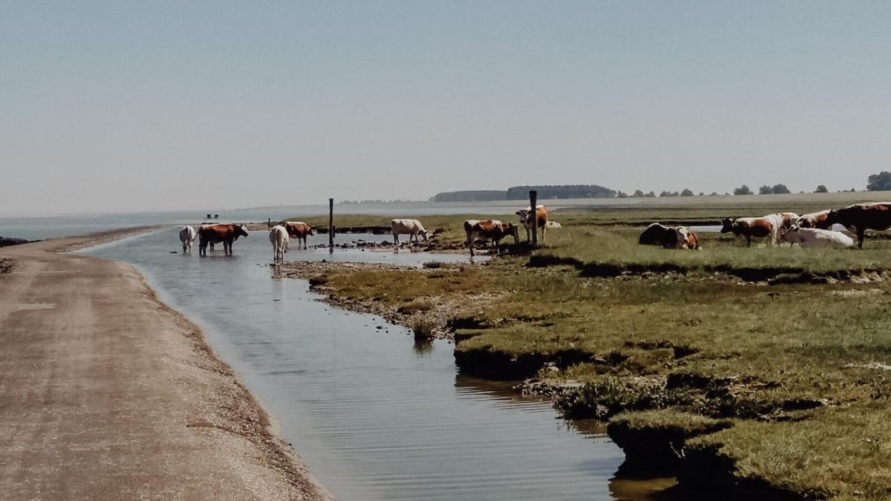 B&B Hieris'T Hoofdplaat Esterno foto
