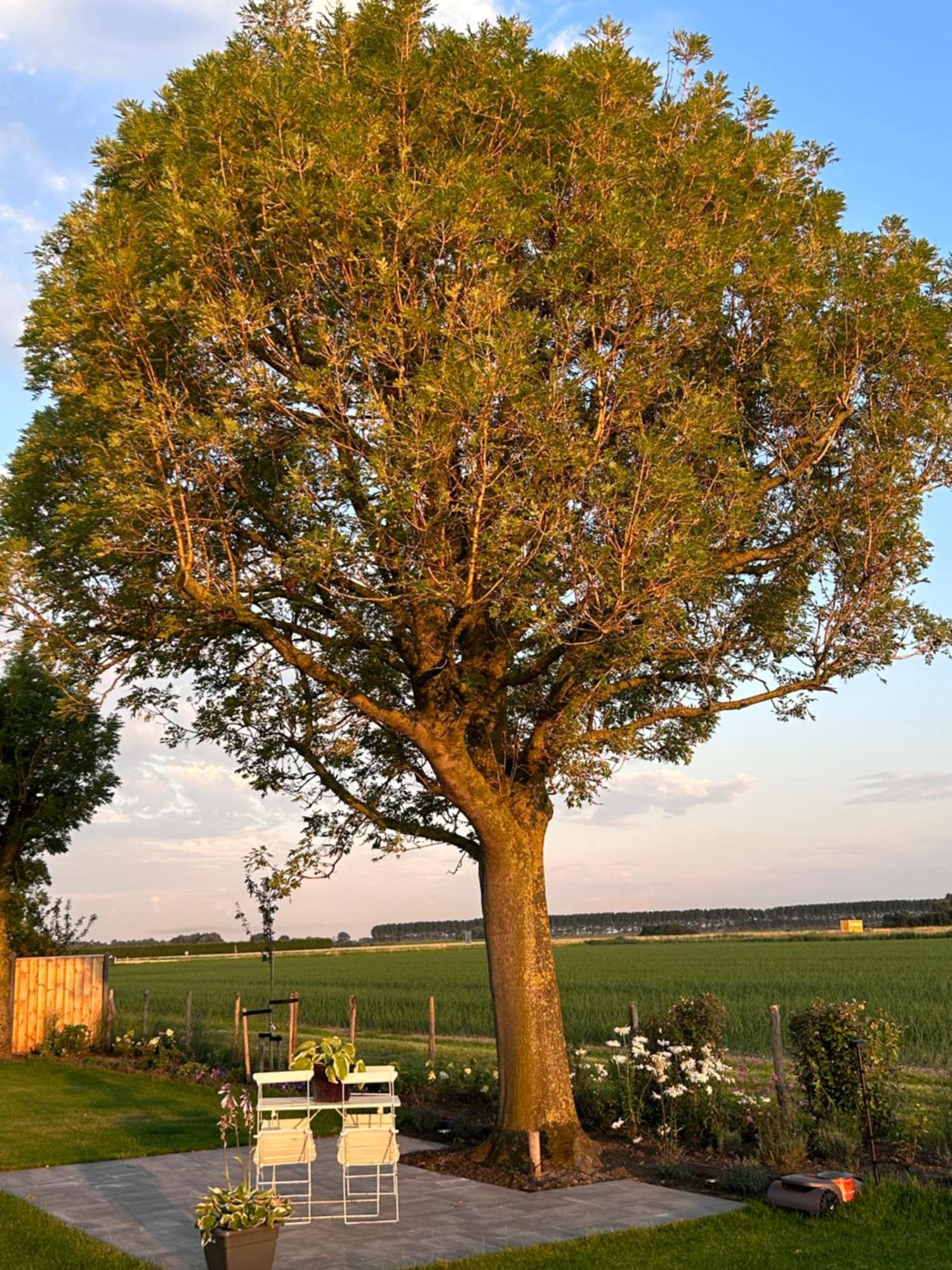 B&B Hieris'T Hoofdplaat Esterno foto