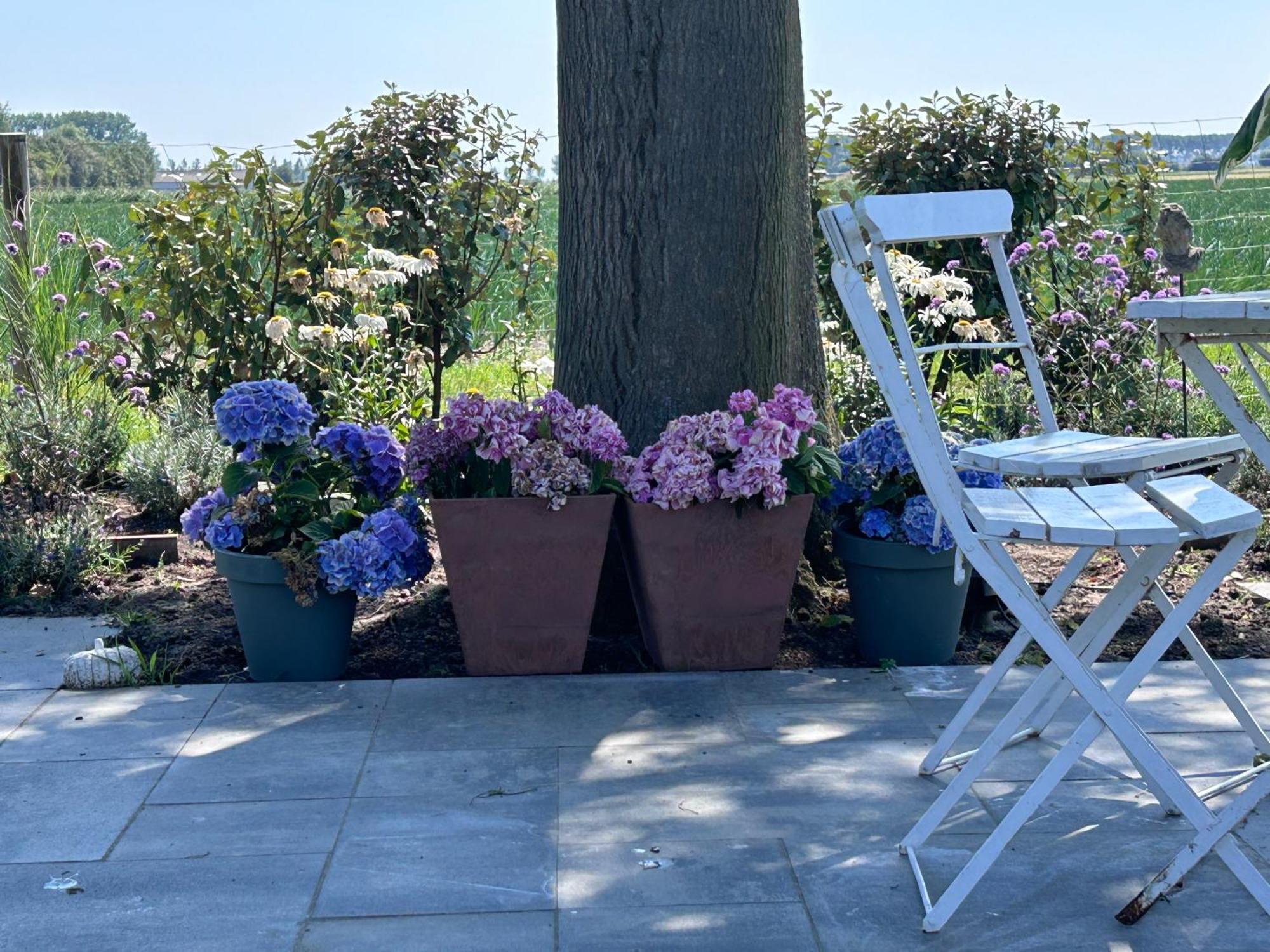 B&B Hieris'T Hoofdplaat Esterno foto